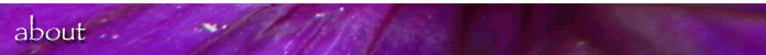 ABOUT
